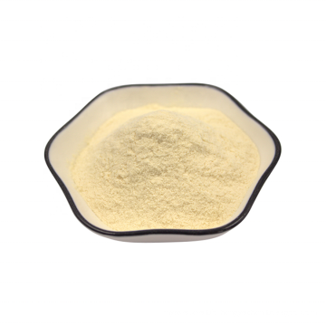 Professional Supply Freeze-Dried Probiotics Lactobacillus fermentum Powder